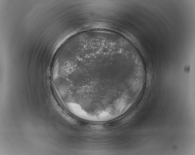 X0000113960798200910232027