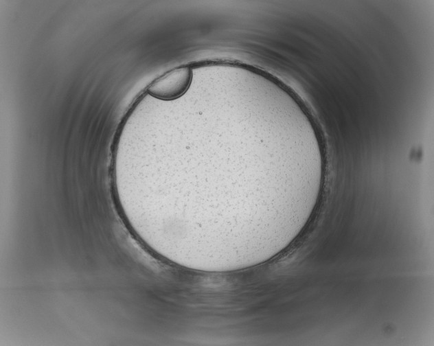 X0000113960799200910232027