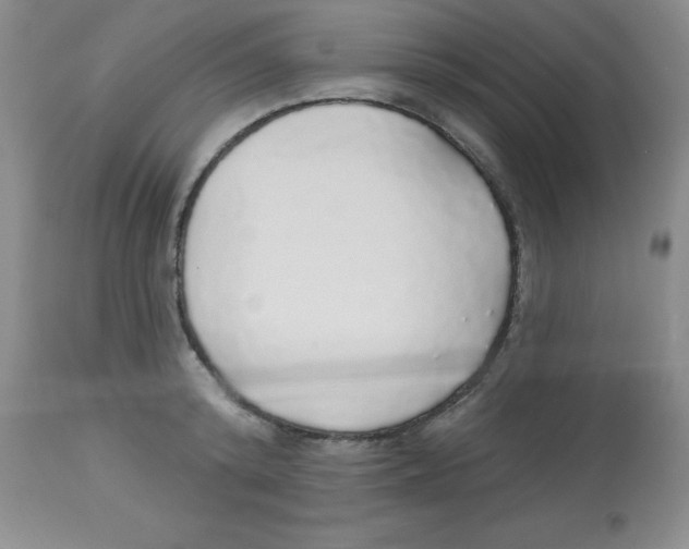 X0000113960800200910232027