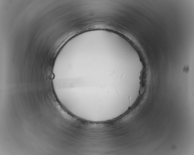 X0000113960801200910232027