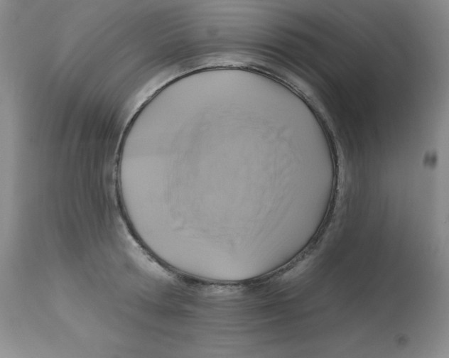 X0000113960802200910232027