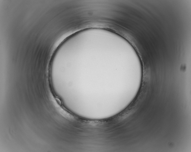 X0000113960803200910232027