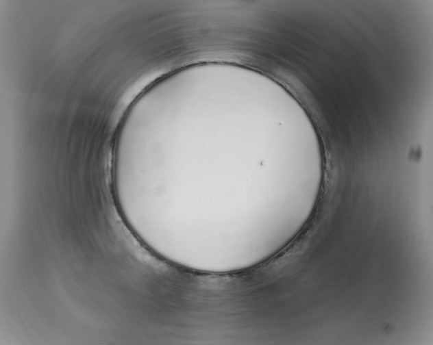 X0000113960804200910232027