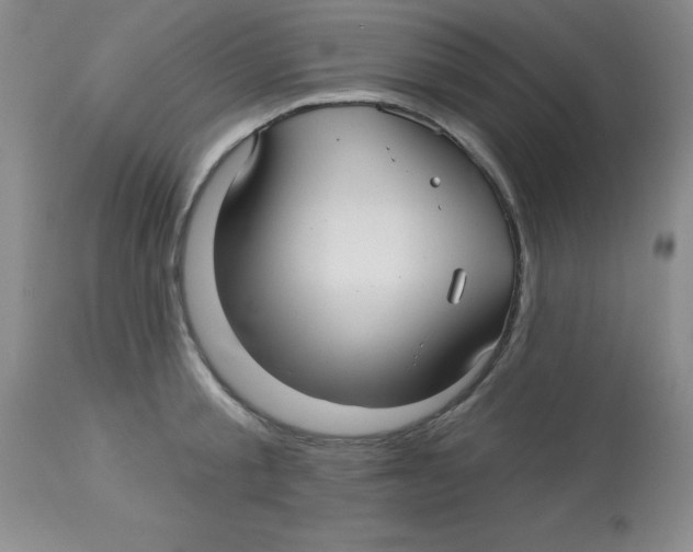 X0000113960805200910232027