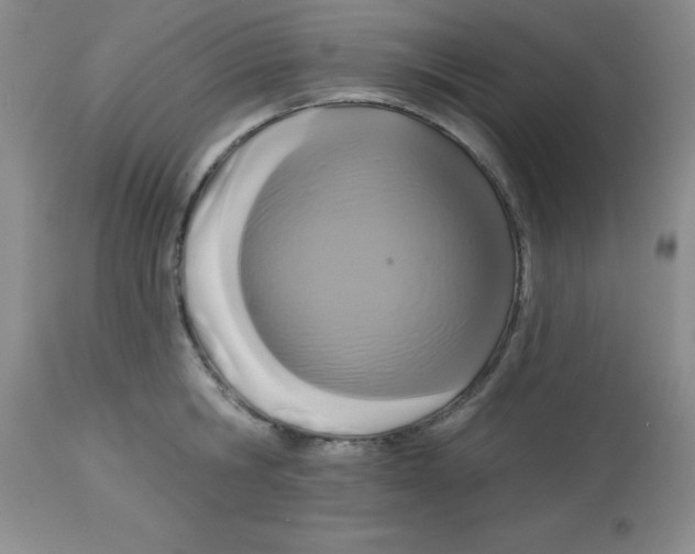 X0000113960806200910232027