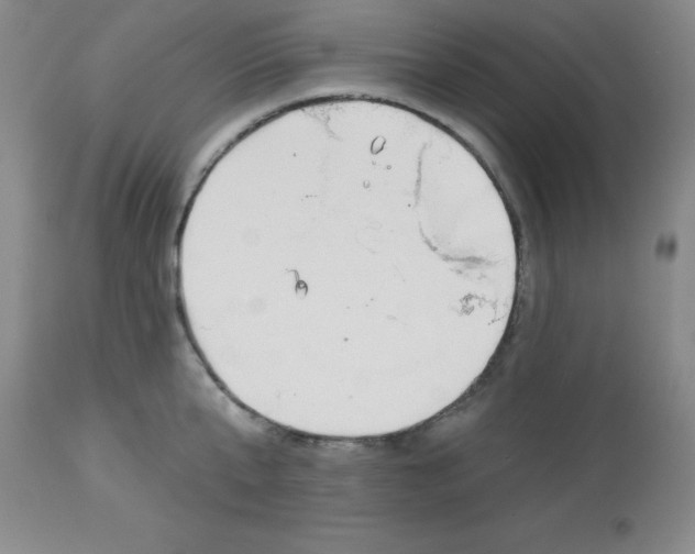 X0000113960807200910232027