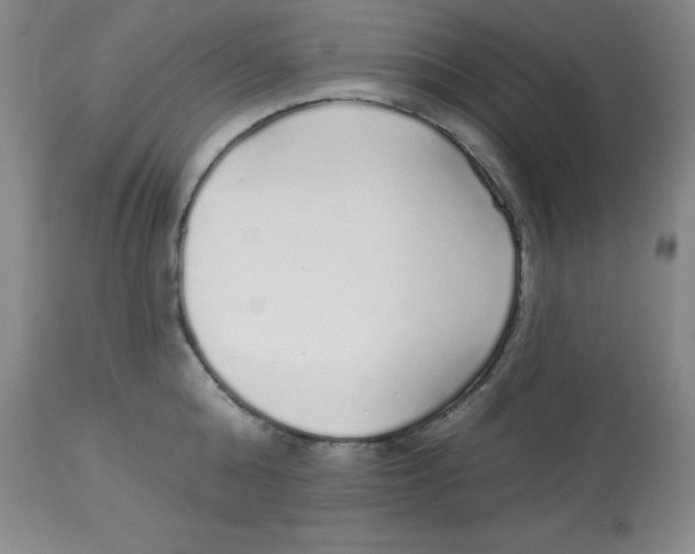 X0000113960808200910232027