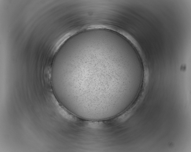 X0000113960809200910232027