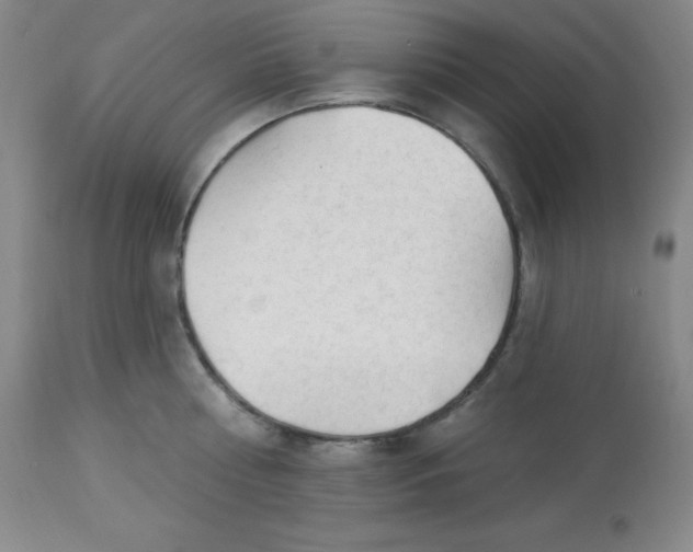 X0000113960810200910232027