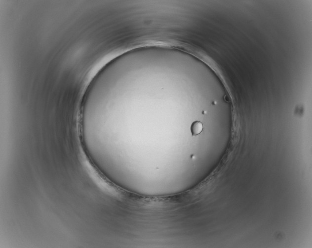 X0000113960811200910232027