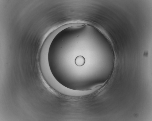 X0000113960813200910232027