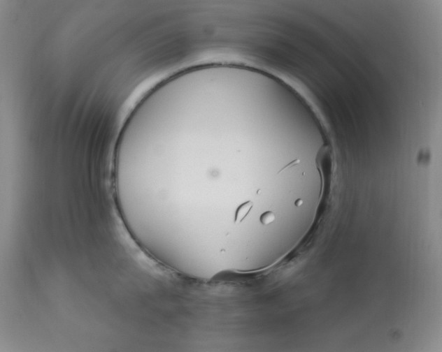 X0000113960815200910232027