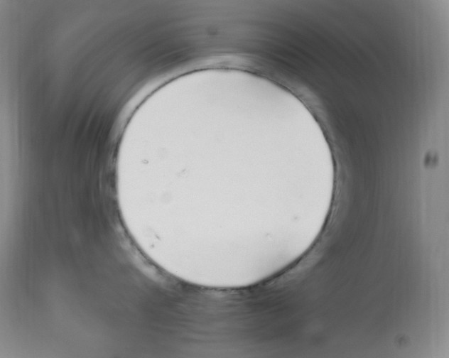 X0000113960816200910232027