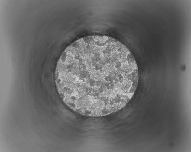 X0000113960817200910232026