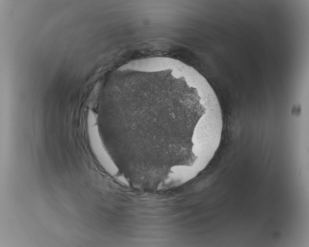 X0000113960818200910232026