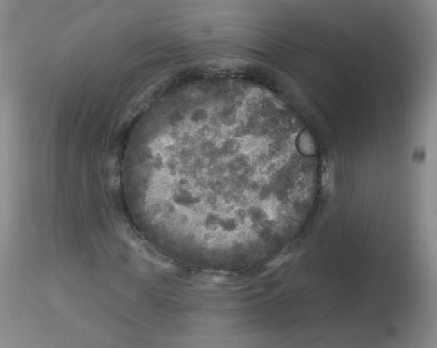 X0000113960819200910232026