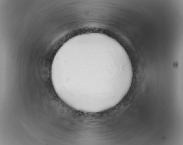 X0000113960821200910232026