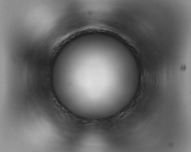 X0000113960822200910232026