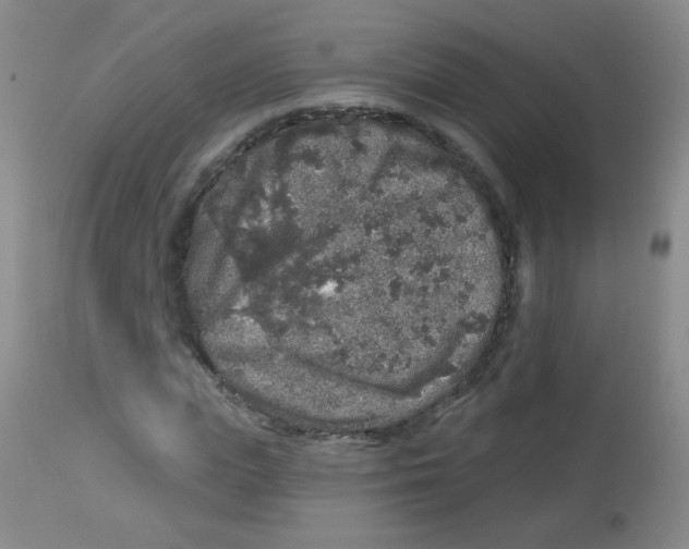 X0000113960823200910232027