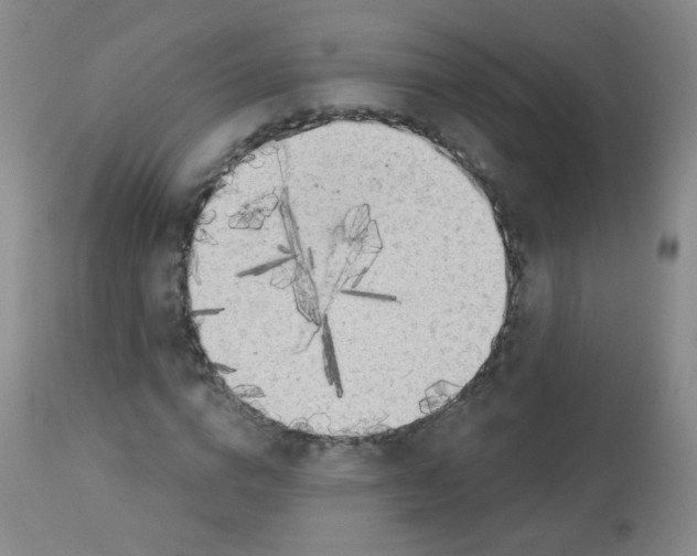 X0000113960824200910232027