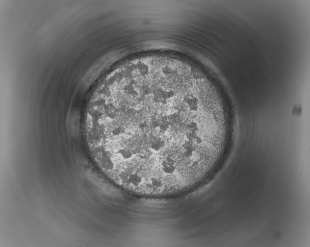 X0000113960825200910232027