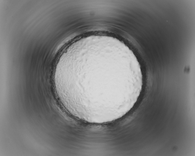 X0000113960826200910232027