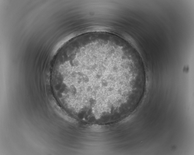 X0000113960827200910232027