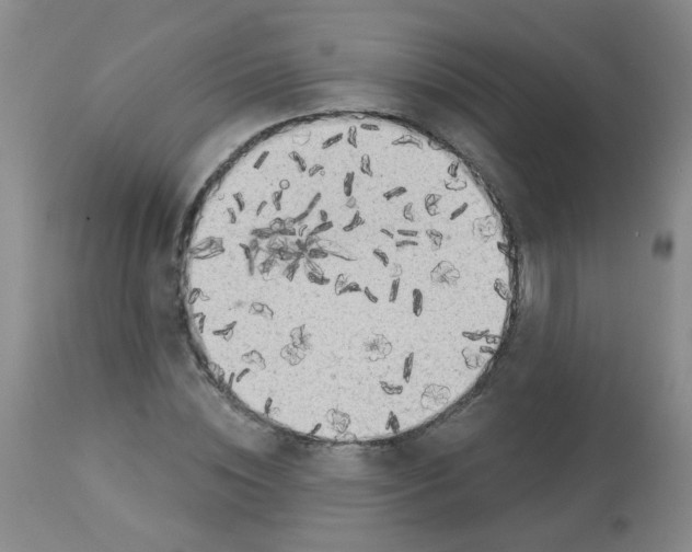 X0000113960828200910232027