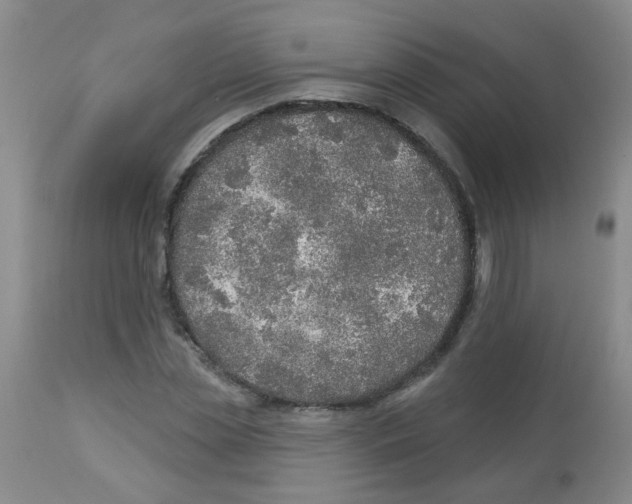 X0000113960829200910232027