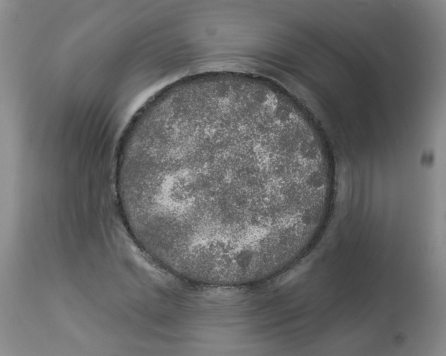 X0000113960830200910232027