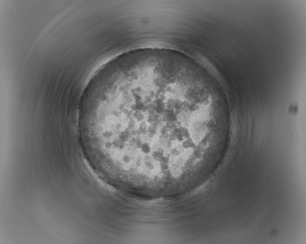 X0000113960831200910232027