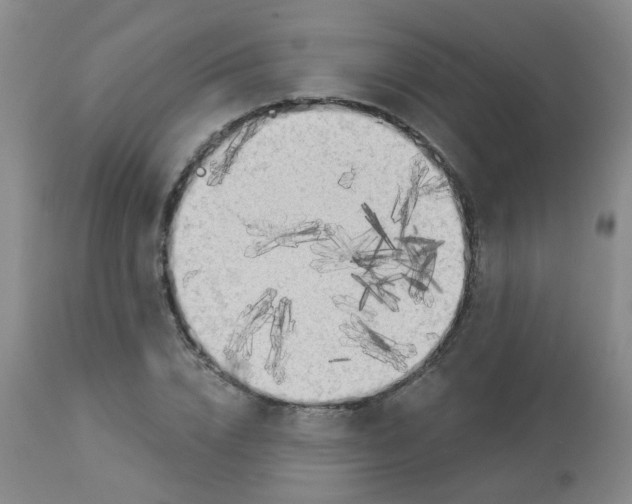 X0000113960832200910232027