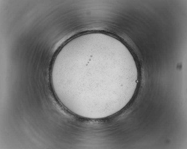 X0000113960834200910232027