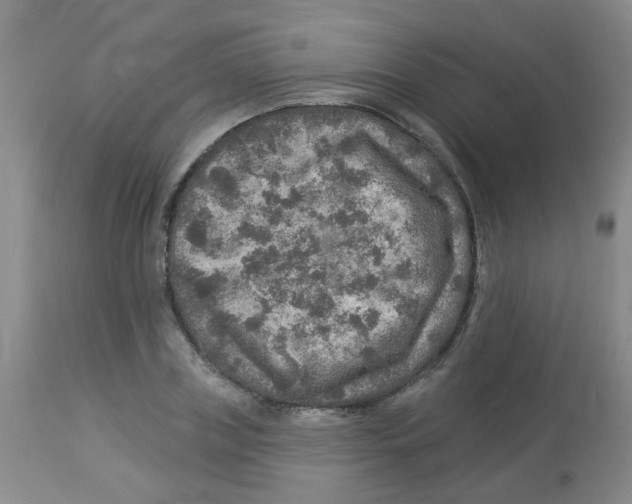 X0000113960835200910232027