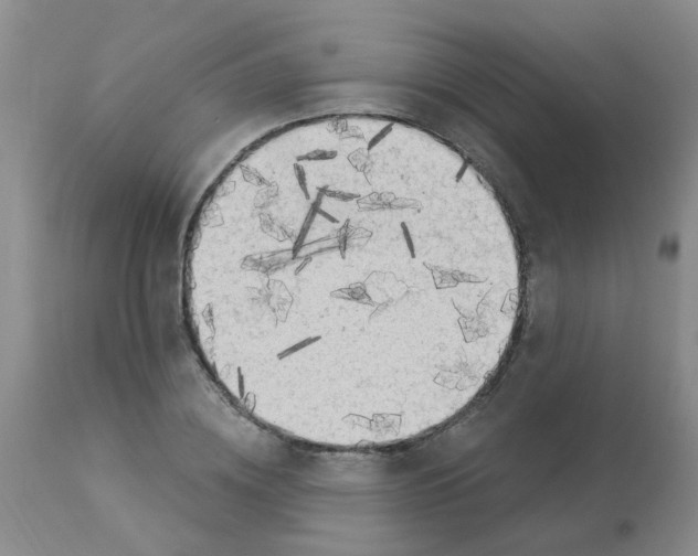 X0000113960836200910232027