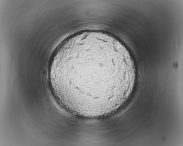 X0000113960837200910232027