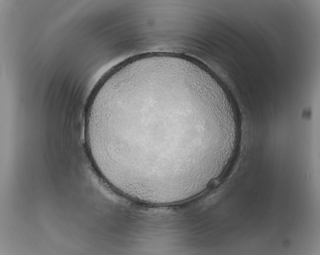 X0000113960838200910232027