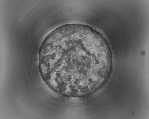 X0000113960839200910232027