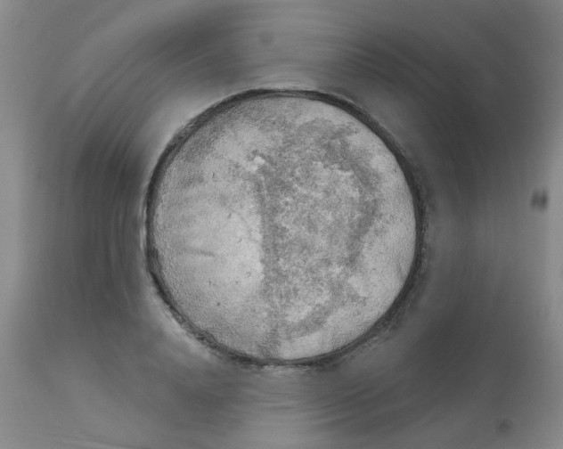 X0000113960840200910232027