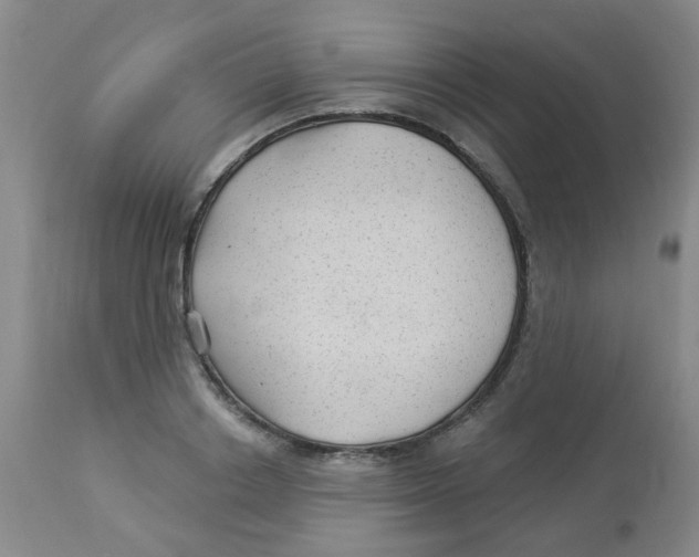 X0000113960842200910232027