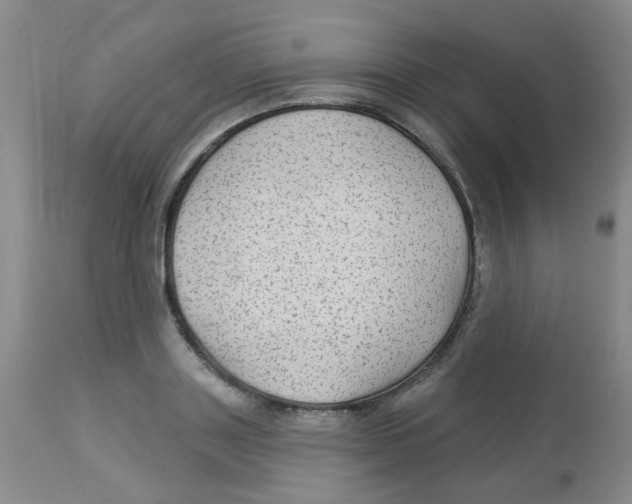 X0000113960843200910232027