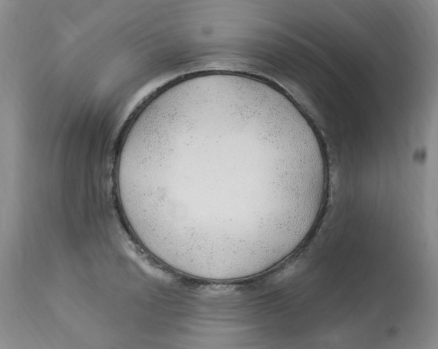 X0000113960846200910232027