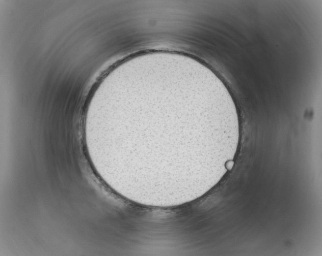 X0000113960848200910232027