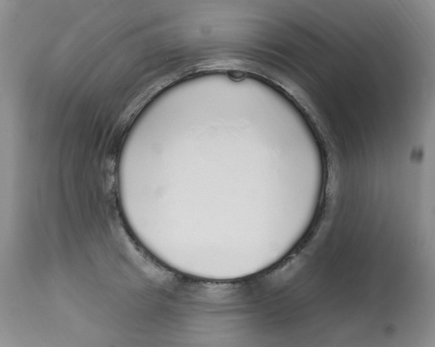 X0000113960849200910232027