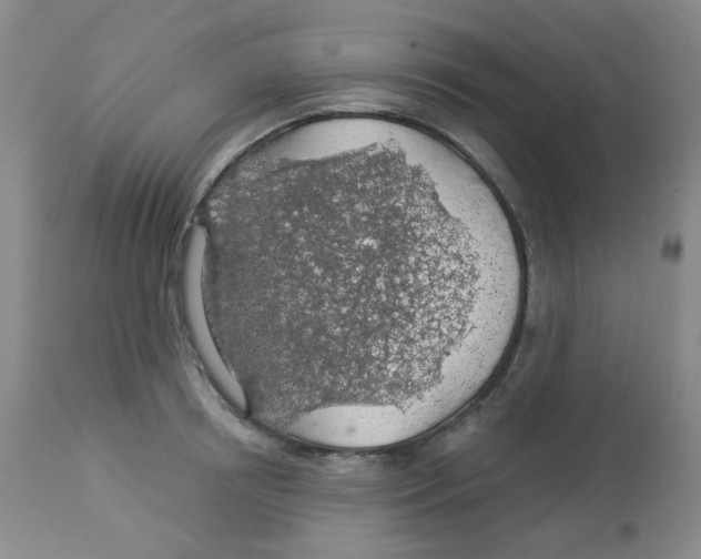 X0000113960850200910232027