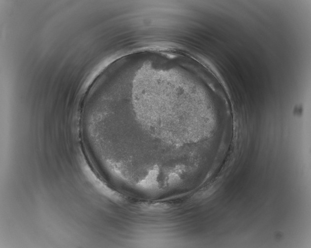 X0000113960851200910232027