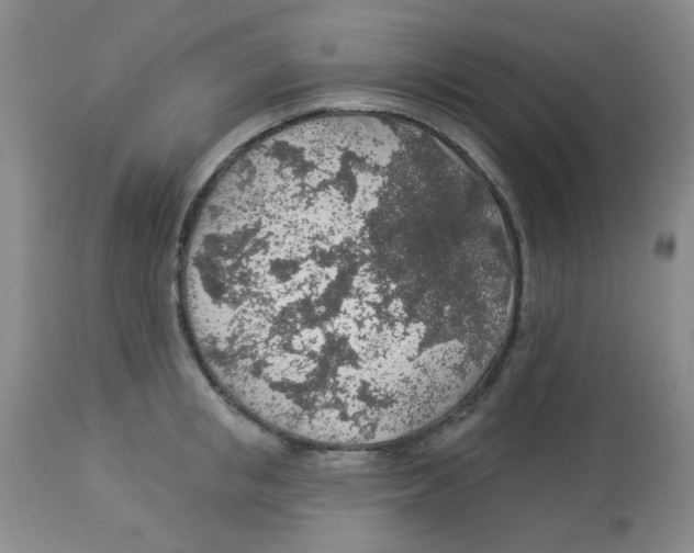 X0000113960853200910232027