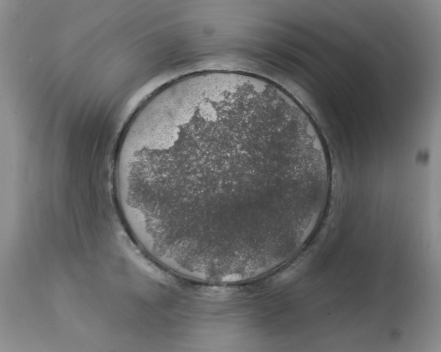 X0000113960854200910232027