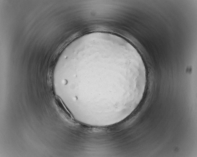 X0000113960857200910232027