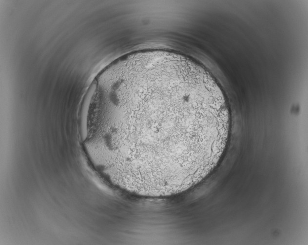 X0000113960858200910232027